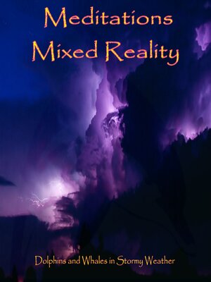 cover image of Meditations Mixed Reality--Dolphins and Whales in Stormy Weather